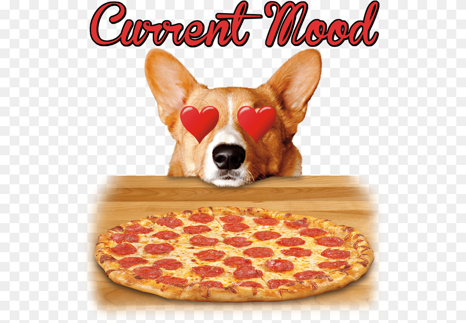 Current Mood Dog Heart Eyes Pizza Pizza, Food, Animal, Canine, Mammal Free Transparent Png