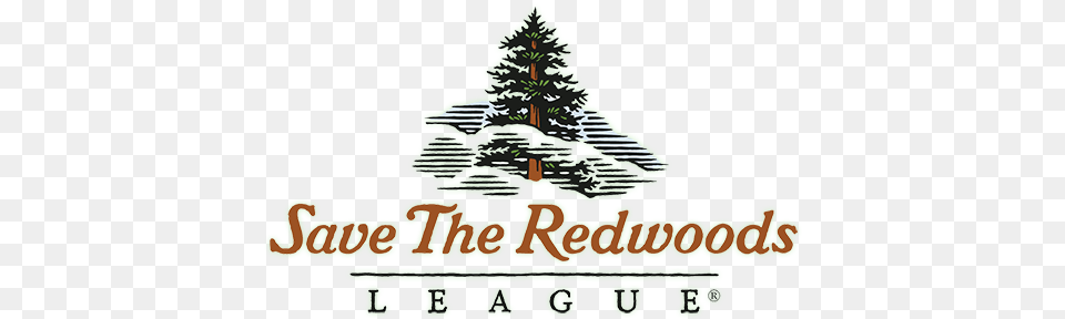 Current Partners Save The Redwoods League, Fir, Pine, Plant, Tree Png Image