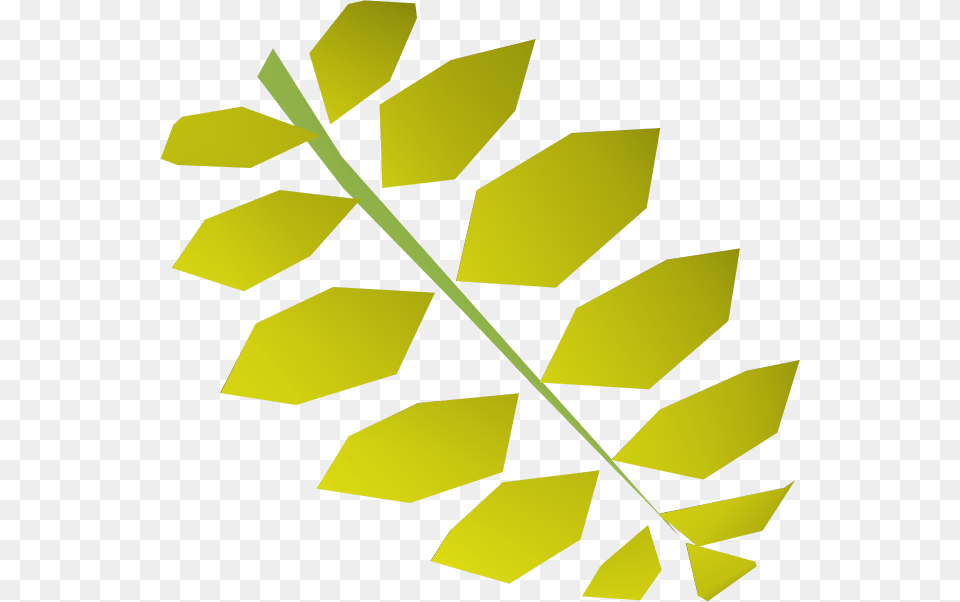 Curry Leaf Curry Tree, Plant, Animal, Fish, Sea Life Free Png