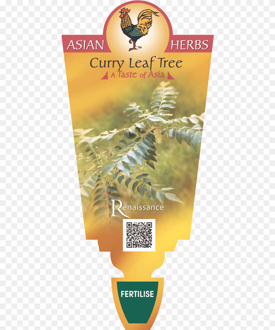 Curry Leaf Tree Herb, Animal, Bird, Chicken, Fowl Free Transparent Png