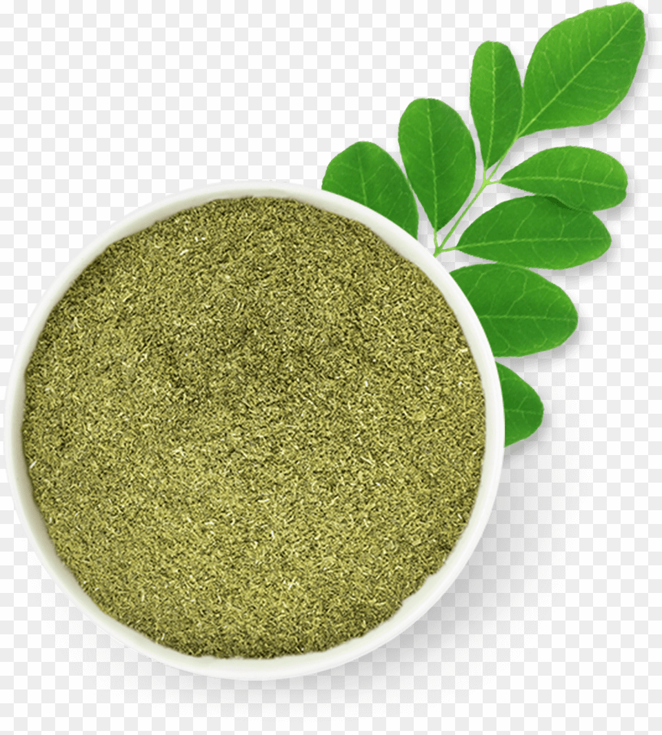 Curry Leaves Circle, Herbal, Herbs, Leaf, Plant Free Transparent Png