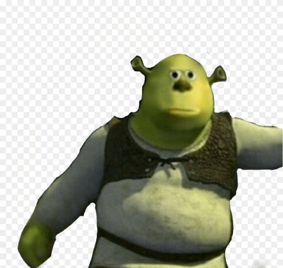 Cursed Meme Shrek Mikewazowsky Mike Wazowski Shrek Mike Wazowski Meme, Baby, Person, Face, Head Png Image