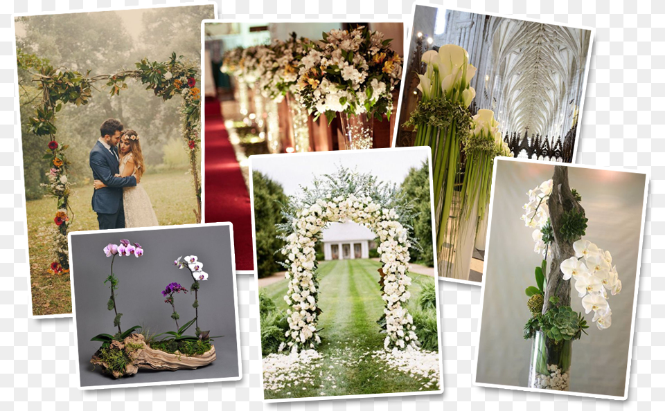 Curso Arranjos Florais Bouquet, Art, Collage, Plant, Flower Free Transparent Png