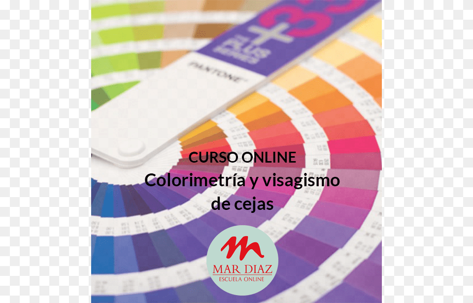 Curso Online De Colorimetra Y Visagismo De Cejas Color, Text, Advertisement, Poster Free Png
