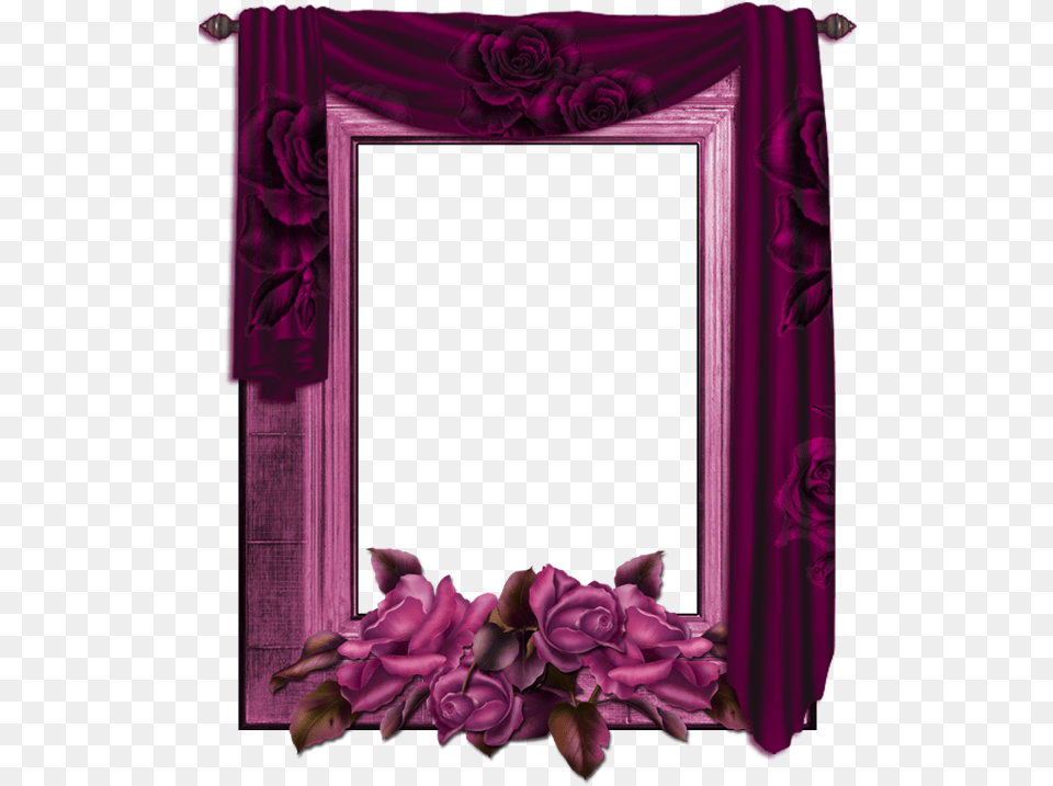 Curtain Photo Frame, Flower, Plant, Rose, Flower Arrangement Free Png