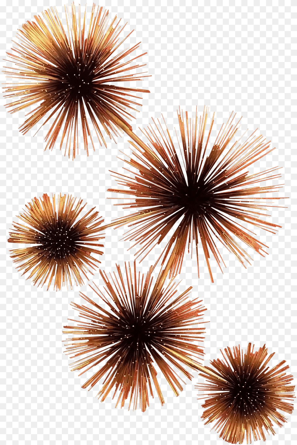 Curtis Jere Pom Or Sea Urchin Wall Sculpture Fireworks, Plant, Animal, Sea Life Png Image