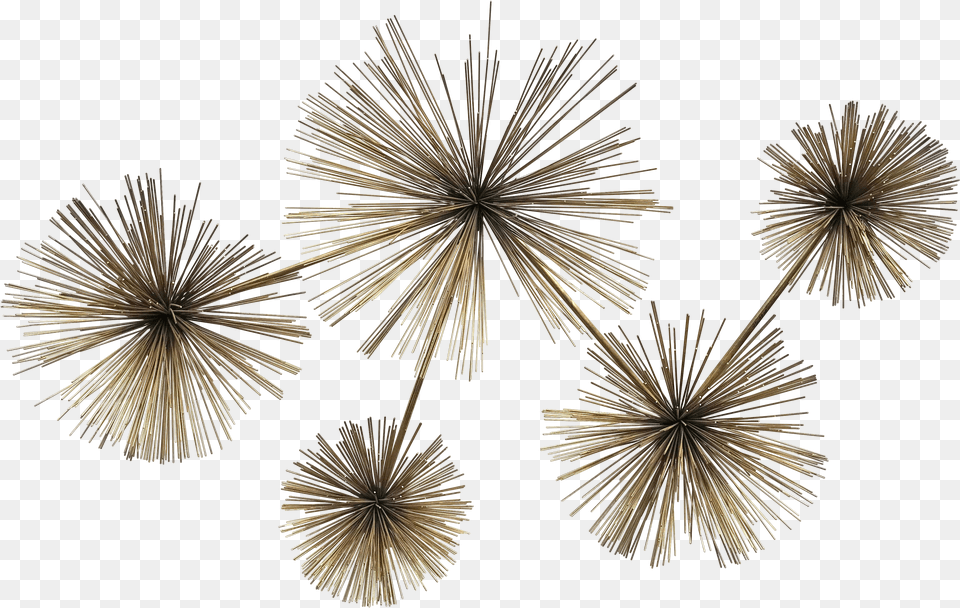 Curtis Jere Sea Urchin Pom Brass Wall Sculpture Lovely Free Transparent Png