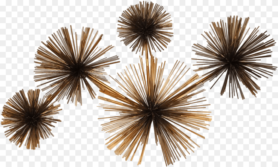 Curtis Jere Wall Sea Urchin Sculpture Horizontal, Fireworks, Wood, Animal, Bird Free Transparent Png