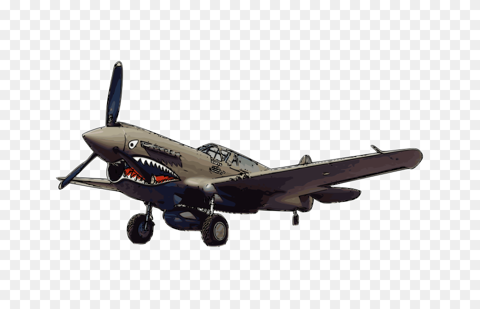 Curtiss P 40 Warhawk, Animal, Bird, Flying, Aircraft Png Image