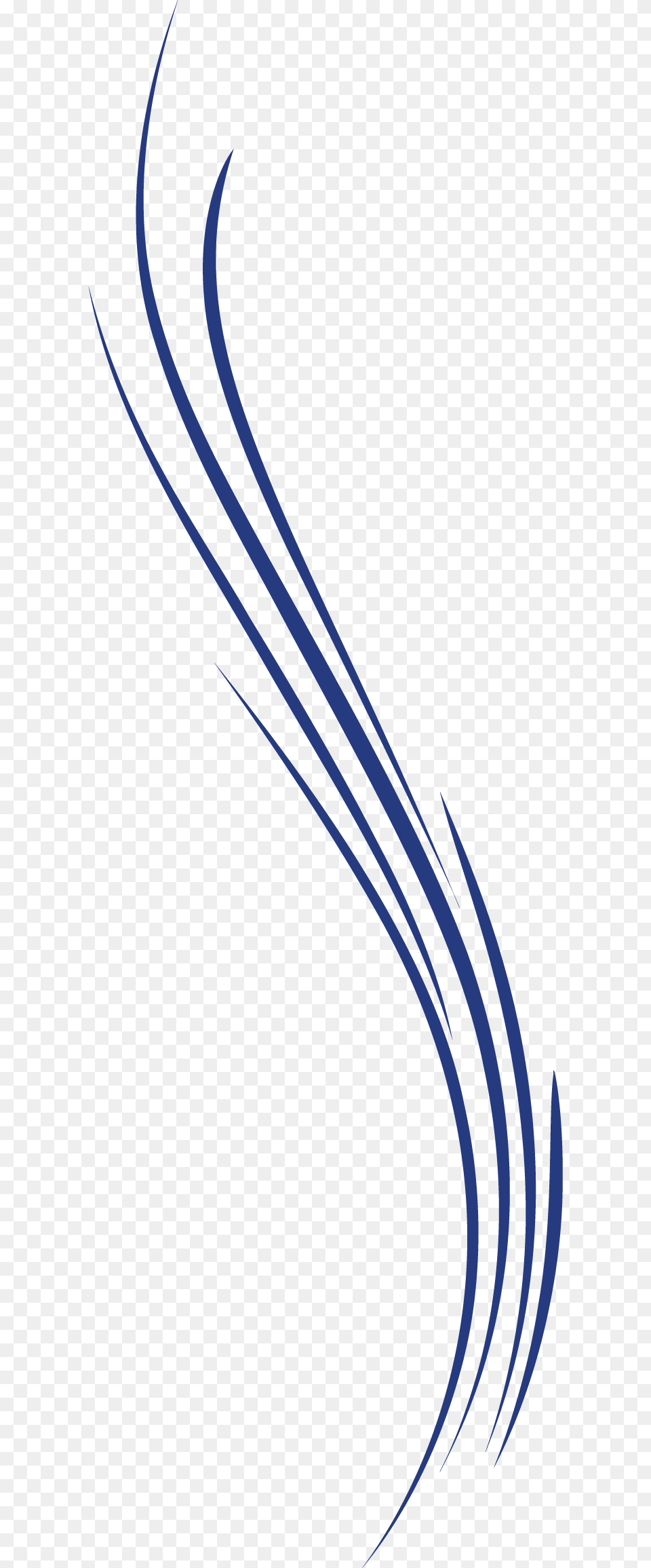Curve Line Euclidean Vector Electric Blue, Art, Floral Design, Graphics, Pattern Png