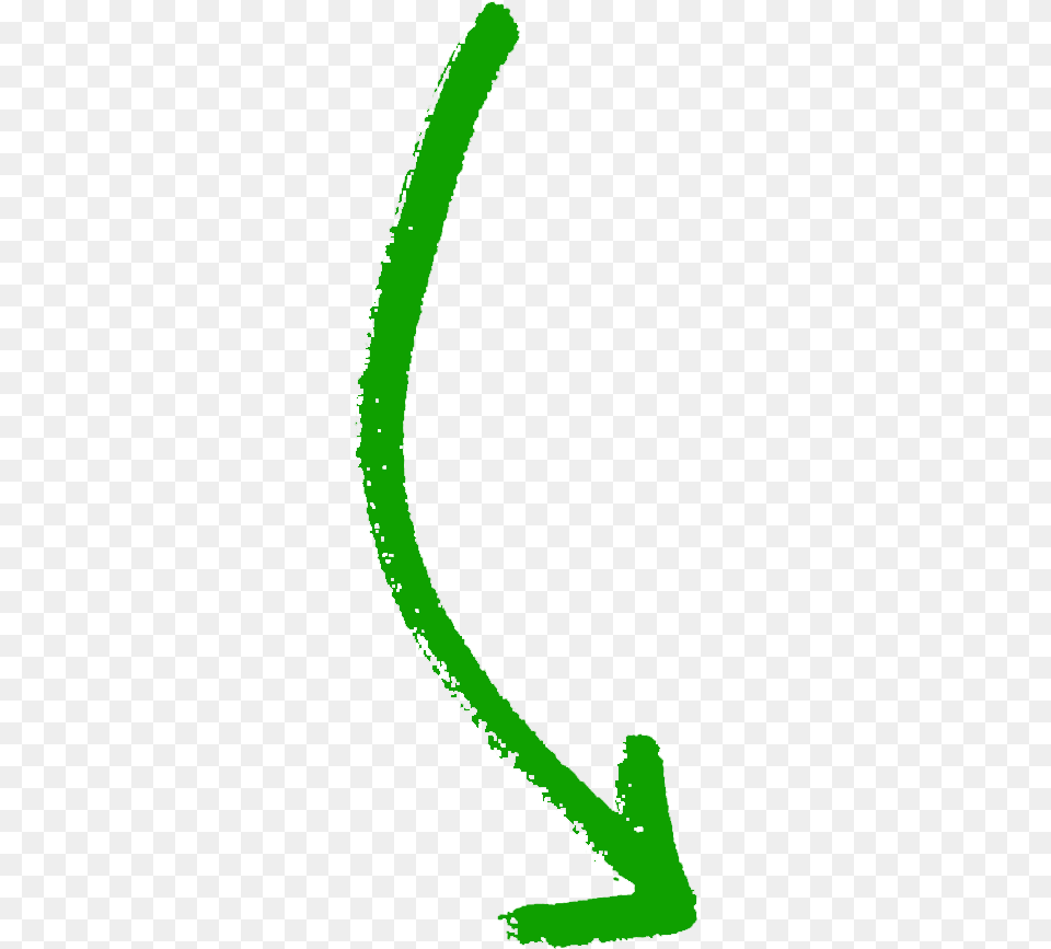 Curved Arrow Right Growth International Volunteer Excursions Clip Art, Flower, Plant Png Image
