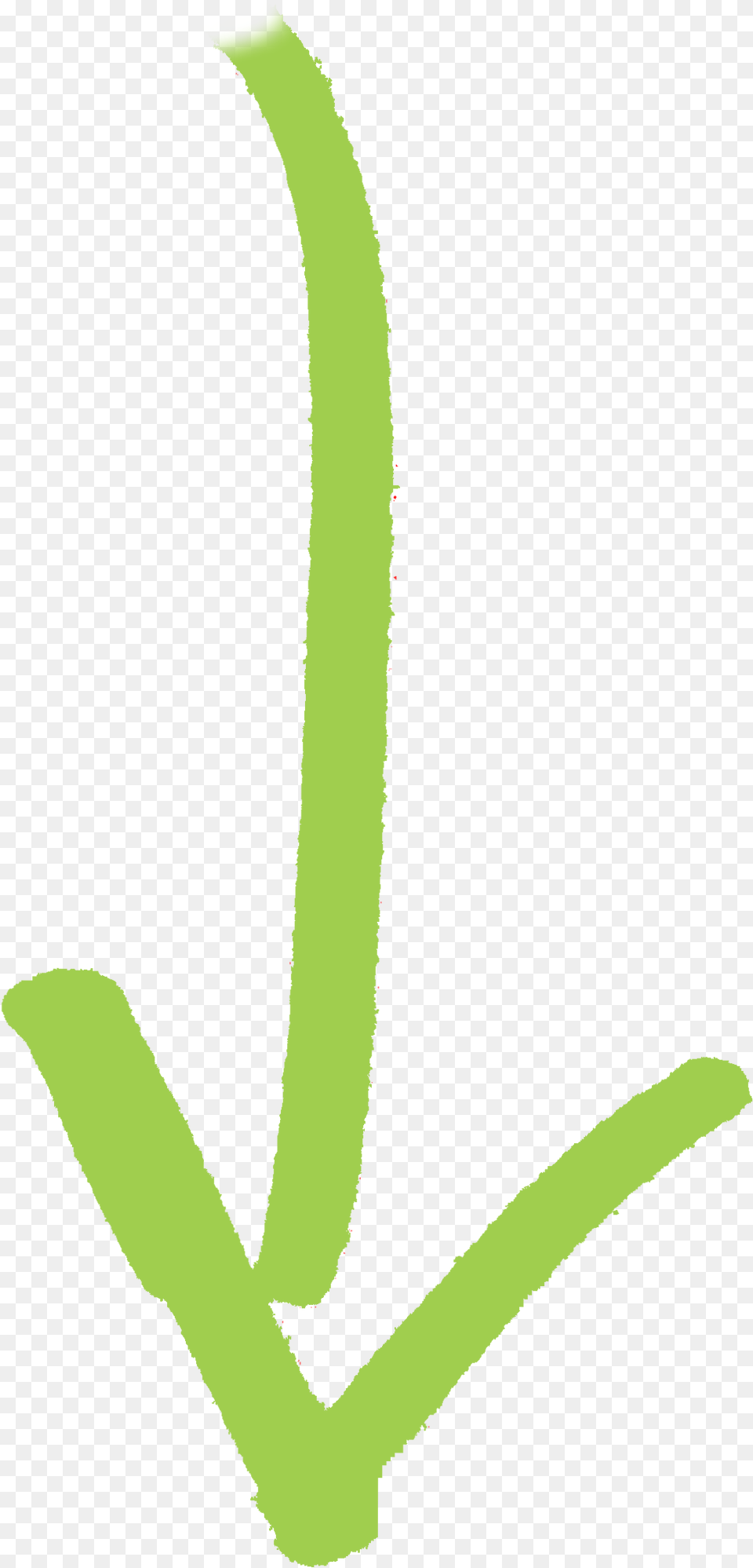 Curved Arrow Up Green Green Drawn Arrow Transparent Green Curved Arrow Drawn, Flower, Plant, Person, Bean Free Png Download