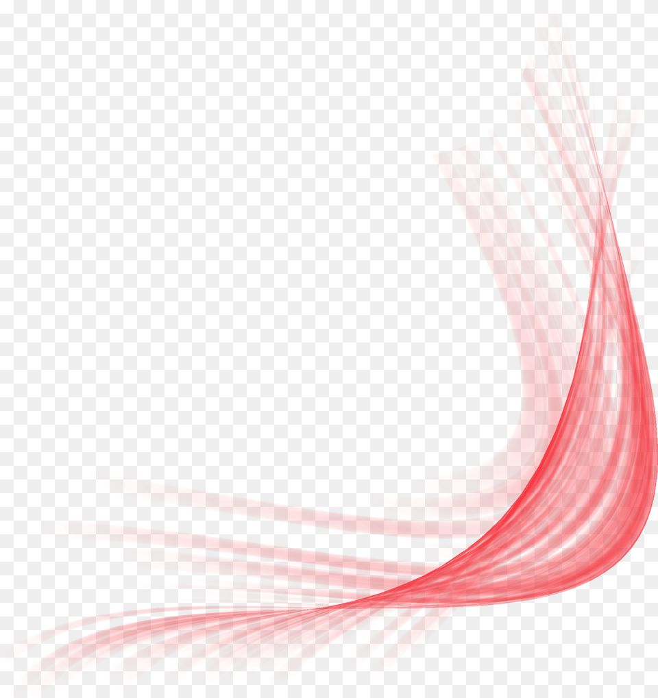 Curvy Lines, Art, Graphics, Animal, Bird Free Transparent Png