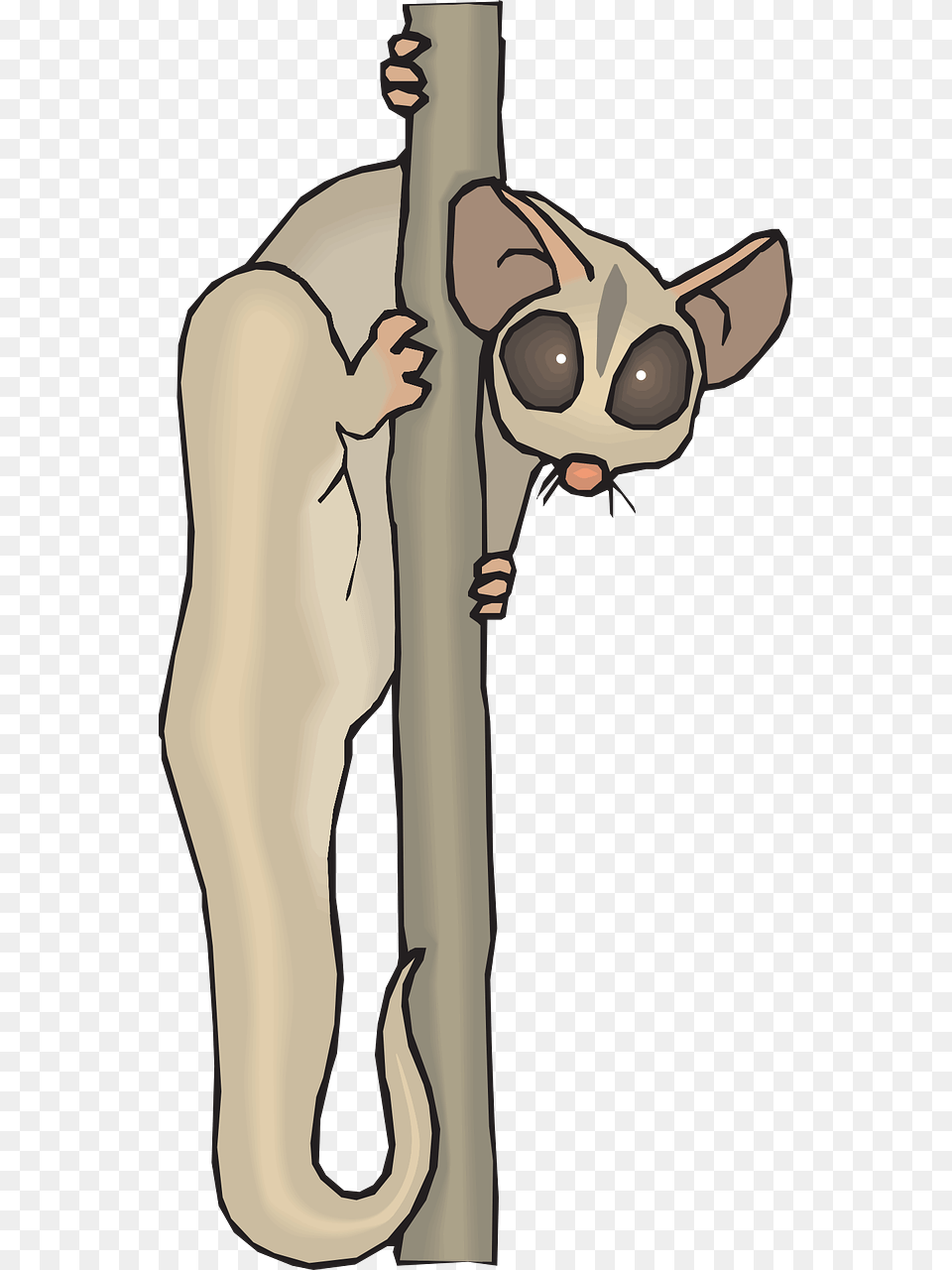 Cuscus Animal Clipart, Adult, Female, Person, Woman Free Transparent Png