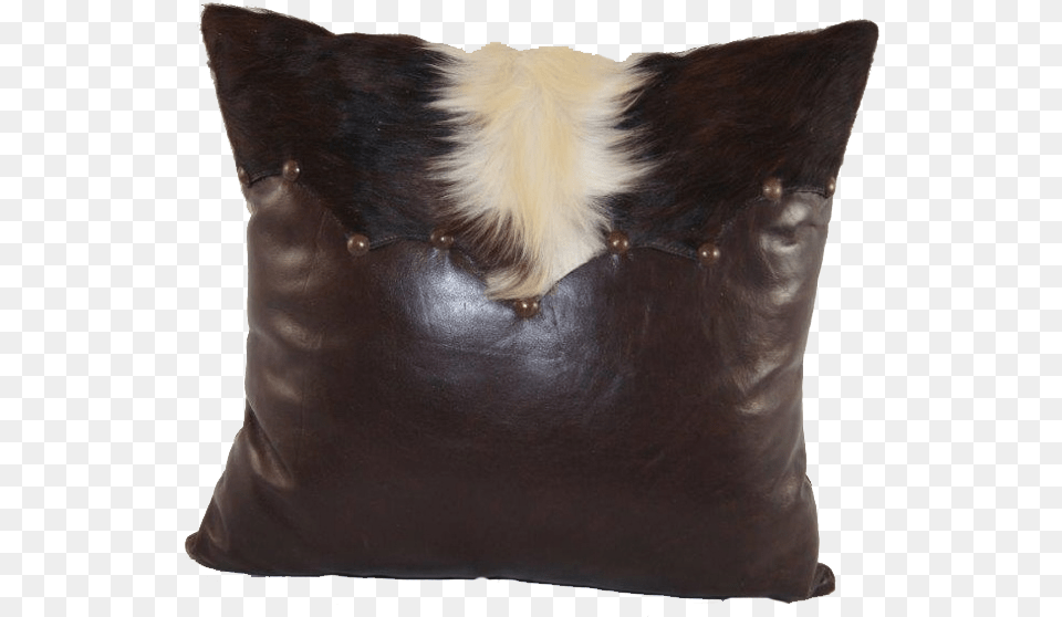 Cushion, Home Decor, Pillow, Animal, Canine Free Png
