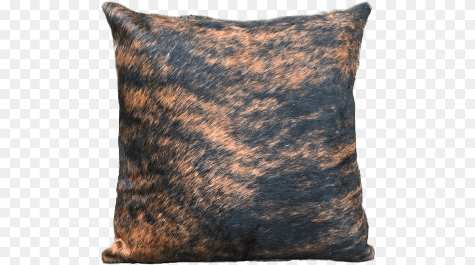 Cushion, Home Decor, Pillow, Animal, Cat Free Png