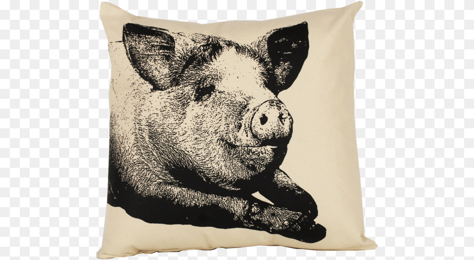 Cushion, Animal, Boar, Hog, Home Decor Free Png Download