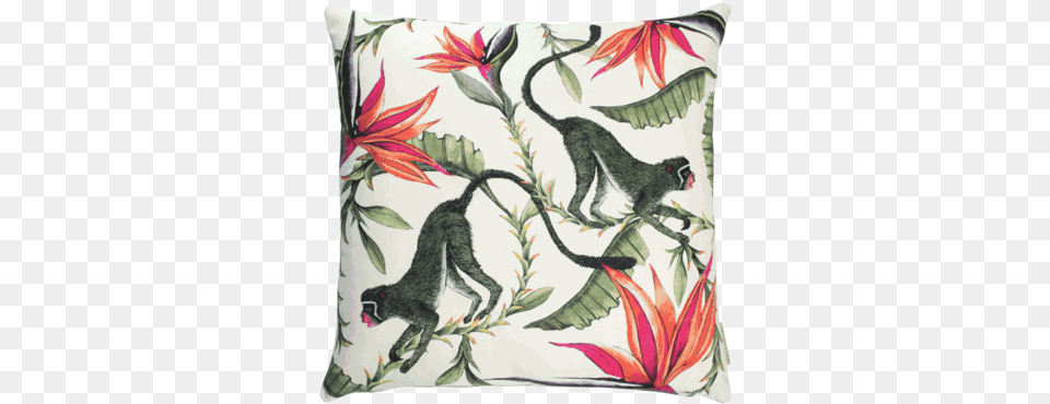 Cushion, Home Decor, Pillow, Pattern, Animal Png