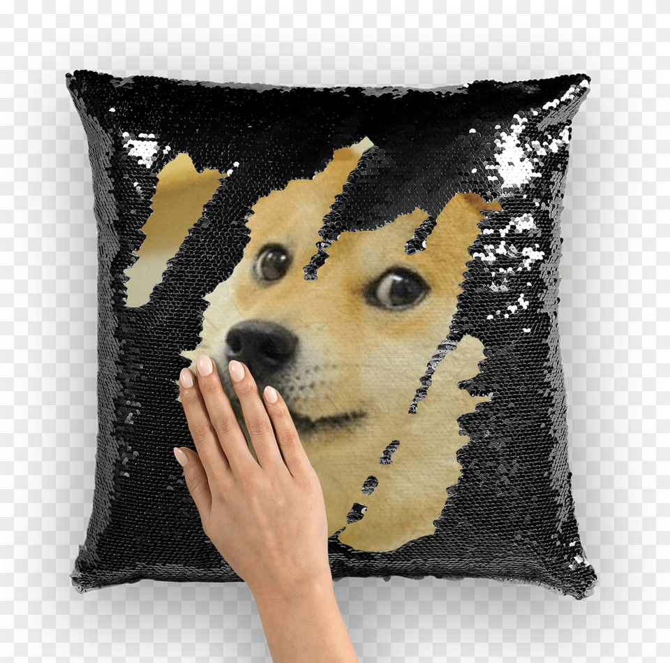Cushion, Pillow, Home Decor, Pet, Mammal Png