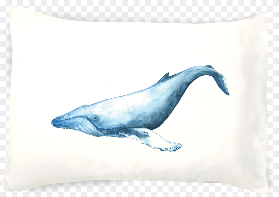 Cushion, Animal, Mammal, Sea Life, Whale Png