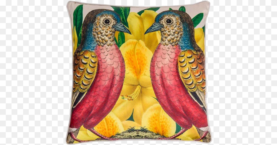 Cushion, Home Decor, Pillow, Animal, Bird Png