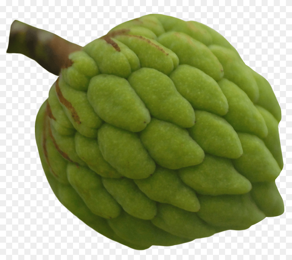 Custard Apple Image, Annonaceae, Plant, Tree, Food Free Png Download