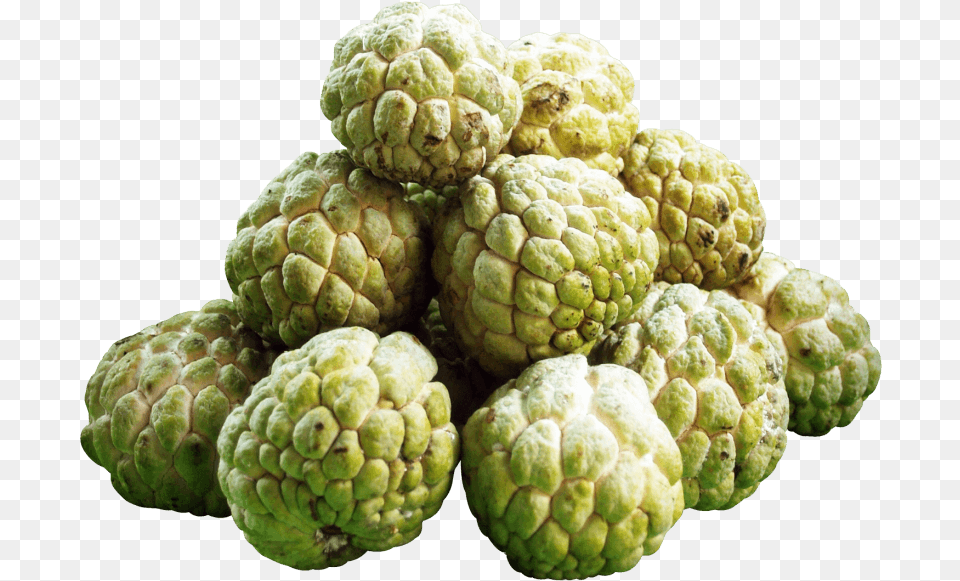 Custard Apple Image Custard Apple Fruit, Annonaceae, Plant, Tree, Animal Png