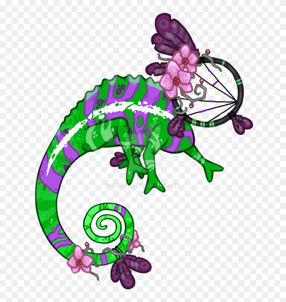 Custom, Animal, Lizard, Reptile, Iguana Free Transparent Png