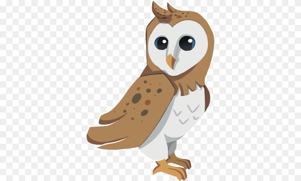 Custom Animals Animal Jam Archives Barn Owl, Bird, Baby, Person Free Transparent Png