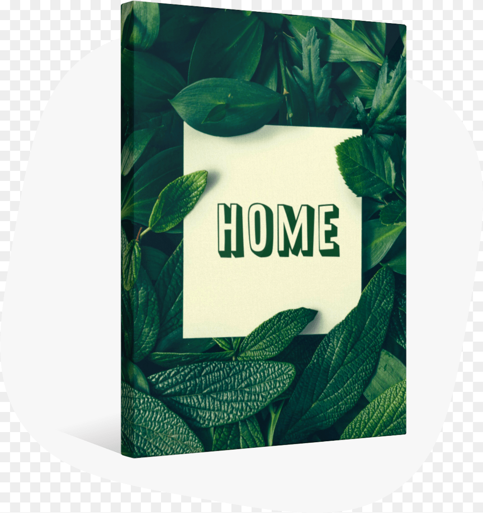 Custom Canvas Prints Wallpaper, Green, Herbal, Herbs, Leaf Free Png