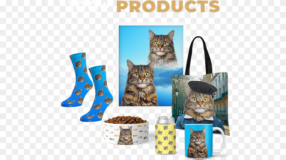 Custom Cat Portraits Cat Supply, Bag, Accessories, Handbag, Animal Free Png