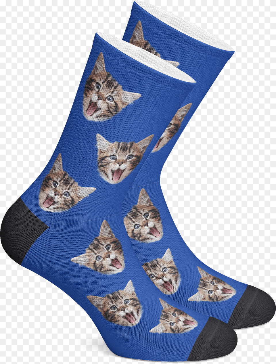 Custom Cat Socks Personalized Socks Pet Photo Socks Custom Socks, Clothing, Hosiery, Sock, Animal Png