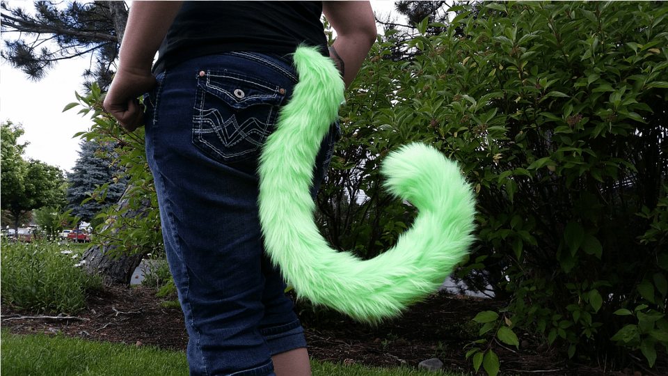 Custom Cat Tail Cat, Clothing, Pants, Grass, Plant Png Image