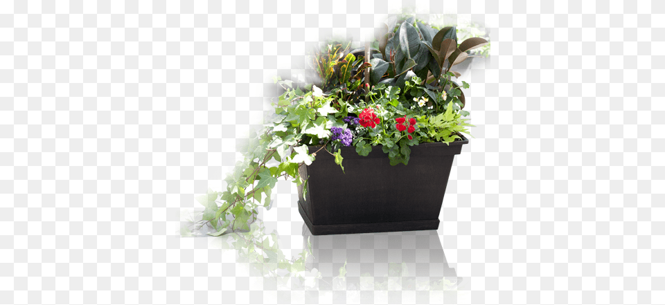 Custom Container Garden, Flower, Pottery, Potted Plant, Planter Free Transparent Png