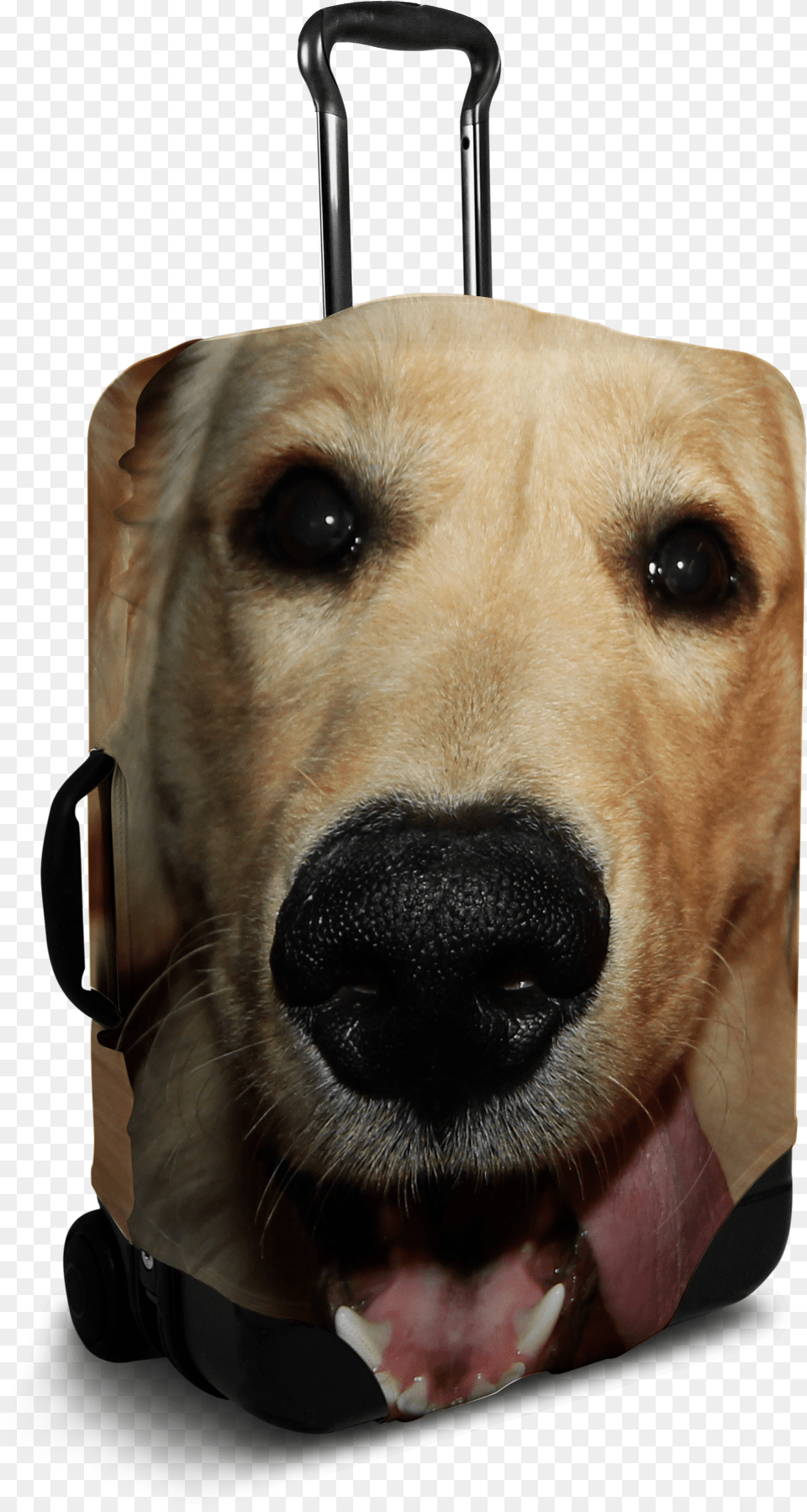 Custom Dog Face Luggage Cover Sushi Suitcase Cover Free Png Download