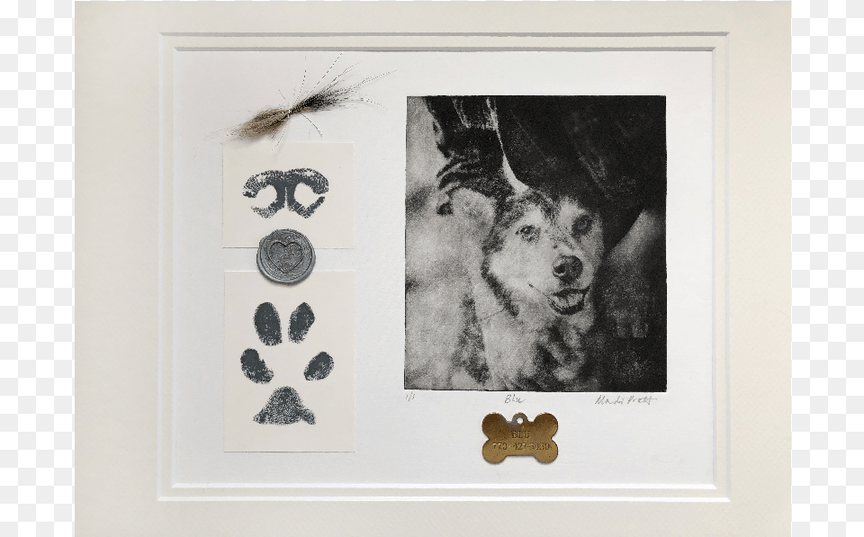 Custom Dog Portrait Memorial With Ashes Paw Print Dogtag Australian Cattle Dog, Face, Head, Person, Animal Free Png