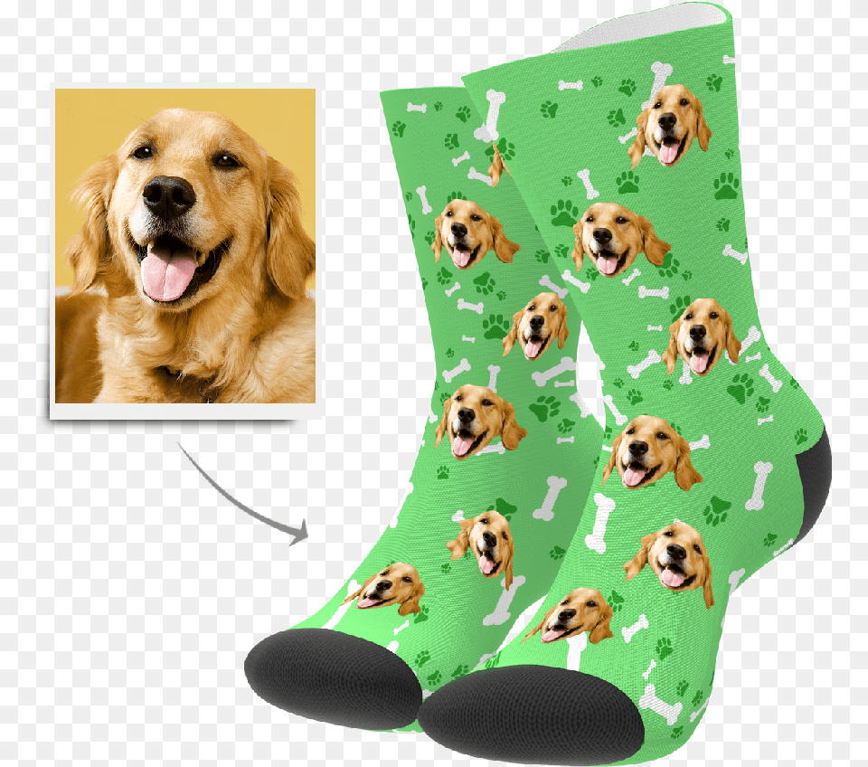 Custom Dog Socks Put Any Face On Socks Myphotosocks Socks With Dog Face, Animal, Canine, Mammal, Pet Free Transparent Png