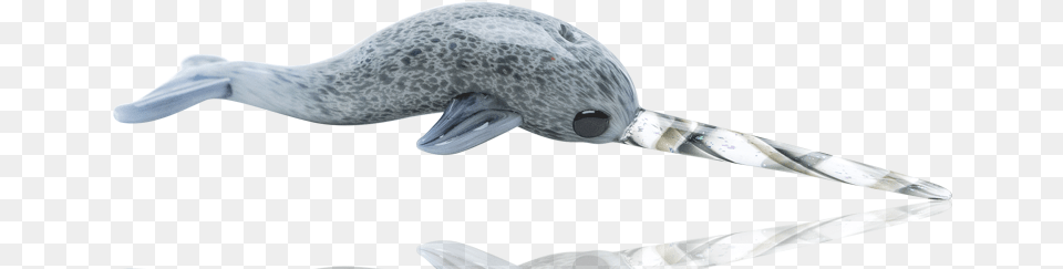 Custom Glass Ned The Narwhal Dabber By Empire Glassworks Humpback Whale, Animal, Mammal, Sea Life, Fish Png Image