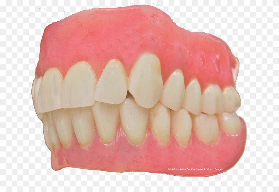 Custom Made Denture Tongue, Body Part, Mouth, Person, Teeth Free Transparent Png