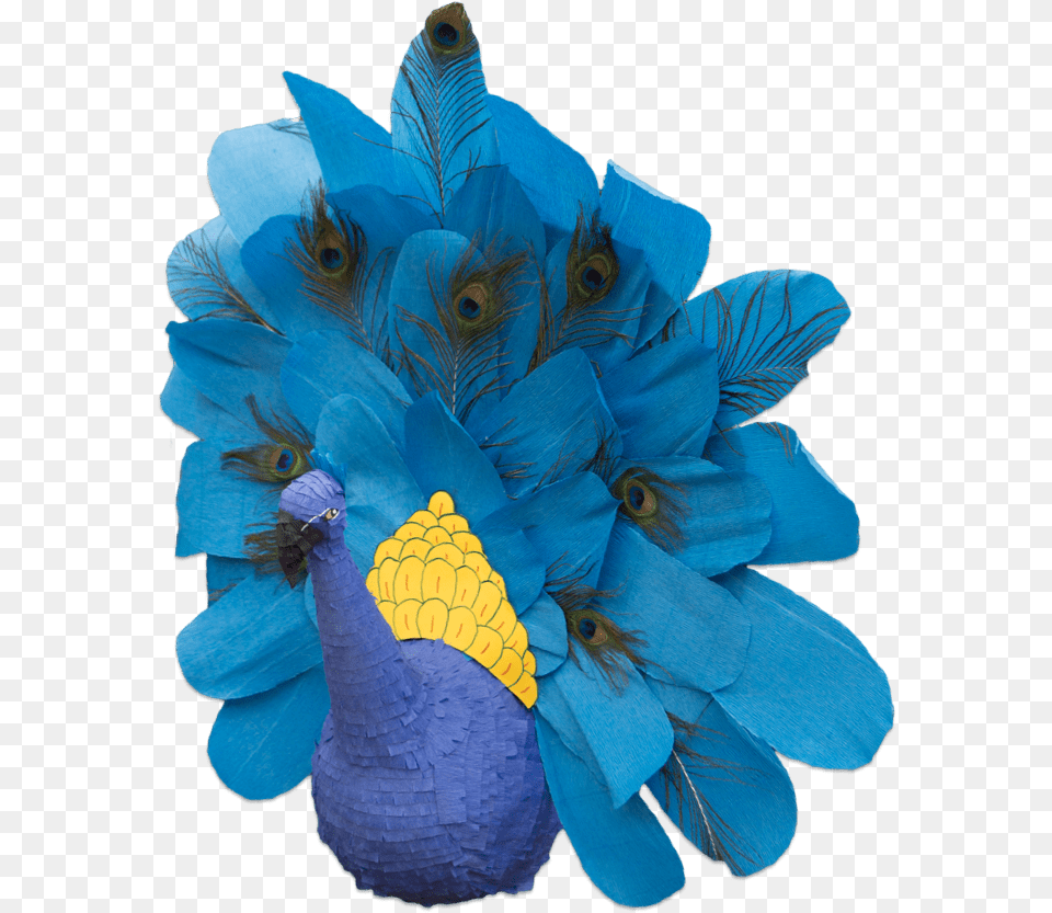 Custom Peacock Pinata Break Pinatas Headpiece, Animal, Bird, Flower, Flower Arrangement Free Png