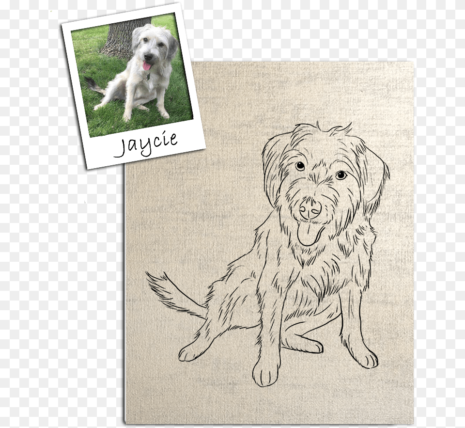 Custom Pet Outline Stretched Canvas Art By Tote Tails, Animal, Canine, Dog, Mammal Png Image