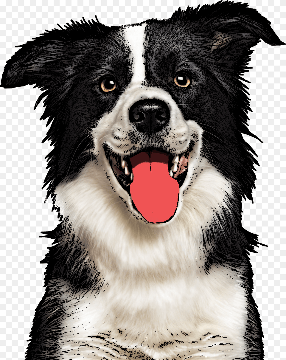 Custom Pet Pop Art Dog Art, Animal, Canine, Mammal, Body Part Free Png Download