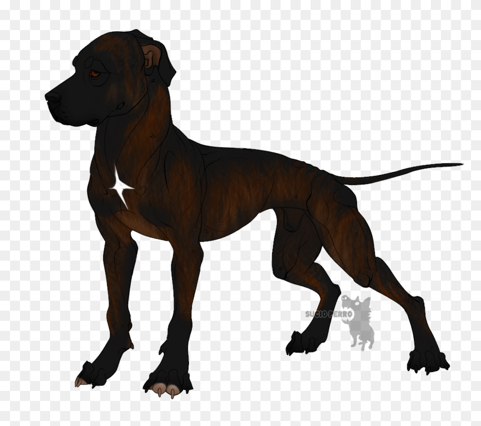 Custom Pitbull, Animal, Lion, Mammal, Wildlife Free Png Download