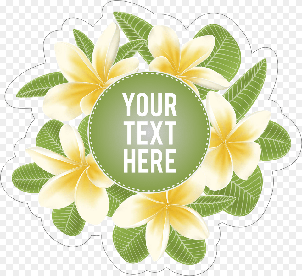 Custom Plumeria And Green Leaves Sticker Frangipani, Plant, Leaf, Herbs, Herbal Png Image