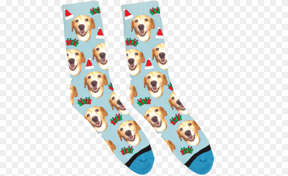 Custom Santa Hat Socks Custom Pet Socks, Animal, Canine, Dog, Mammal Png Image