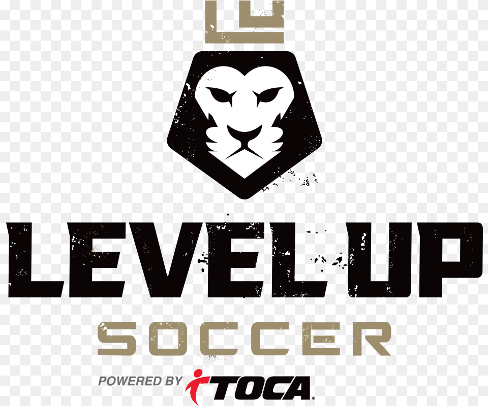 Custom Soccer Logo For Level Up Soccer Soccer Training Custom Logo Designs Sports, Advertisement, Poster Free Png Download