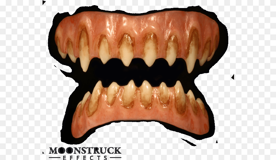 Custom Stained Vampire Pale Gums Sharpened Teeth Bone, Body Part, Mouth, Person, Face Free Png Download