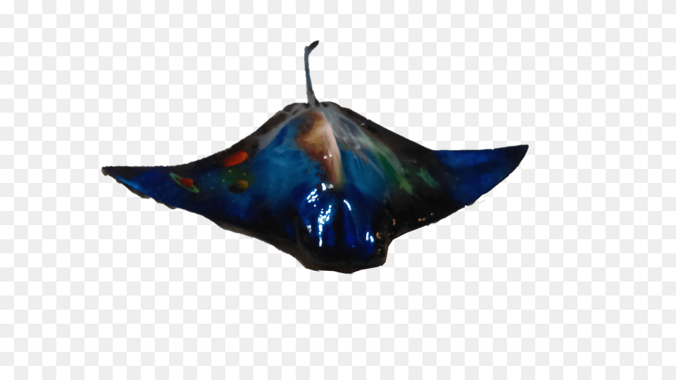Custom Stingray Replica Fish Mount With Waves Sunset And Planets, Animal, Manta Ray, Sea Life Free Transparent Png