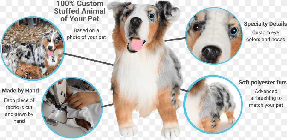 Custom Stuffed Animals Of Pets 100 Quality Guarantee Petsies Rough Collie, Animal, Canine, Dog, Mammal Png Image