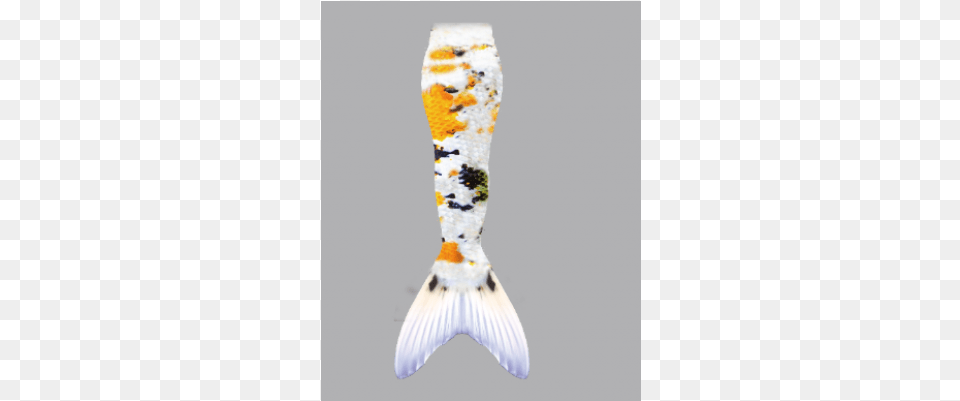 Custom Swimmable Mermaid Tails With Monofin Monofin, Animal, Carp, Fish, Sea Life Free Png